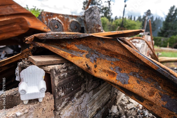 Obraz Burned down house after fire