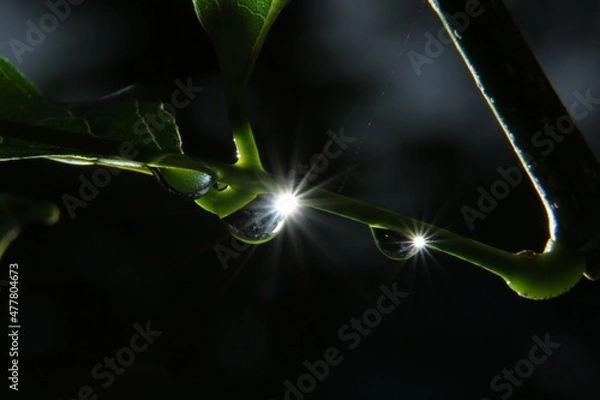 Obraz abstract light background