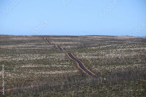 Obraz old farm field