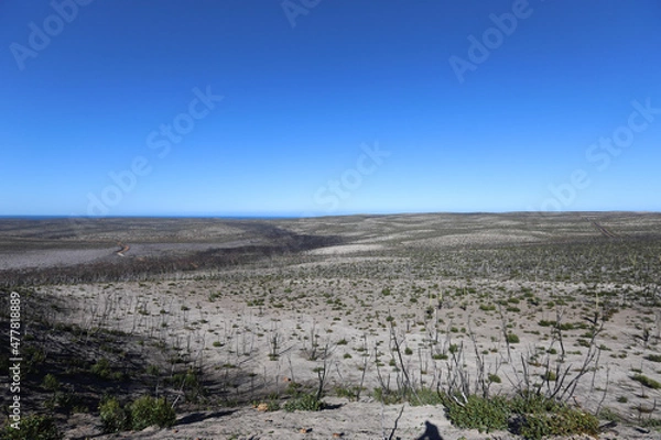 Obraz plowed field in winter