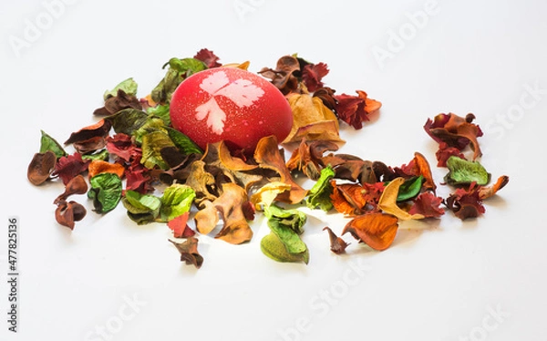 Obraz Easter egg amongst red petals dried plant
