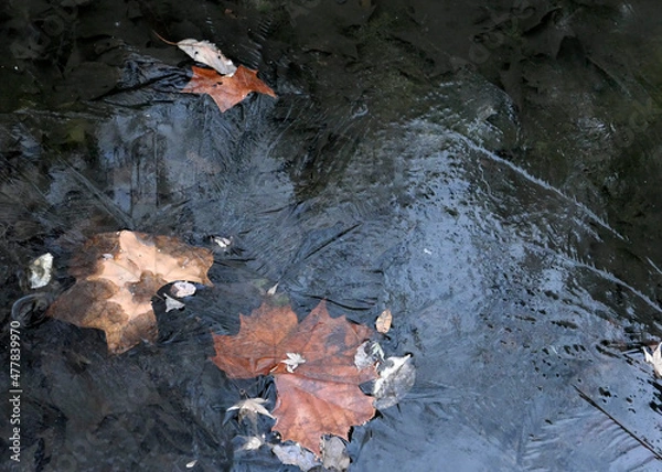 Fototapeta 混沌とした世の中。地球温暖化が懸念される今、私たちにできることは何か、何をなすべきか。私たちはあまりにも地球を傷つけすぎてしまった。これからでも遅くはない、この母なる地球に畏敬の念を抱き、私たちの子孫のためにも、この地球を守っていかなければならない。