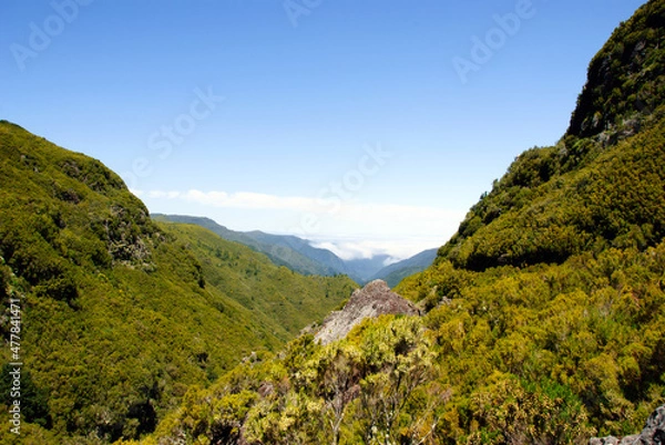 Obraz madeira at the atlantic ocean, Portugal, view of the hills and the sky
(c)WOB