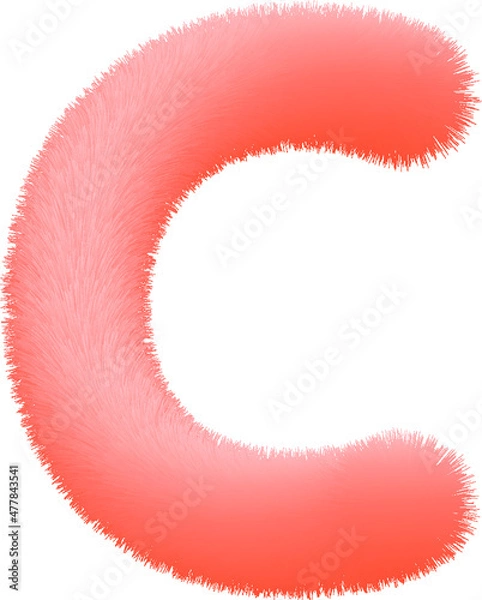 Obraz Realistic 3D Effect Letter C
