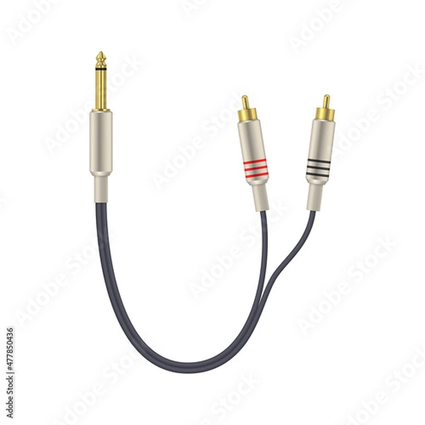 Fototapeta Adapter 6.5 audio jack for 2 RCA. Vector illustration.