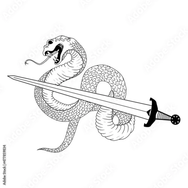 Fototapeta The snake wraps around a sharp sword