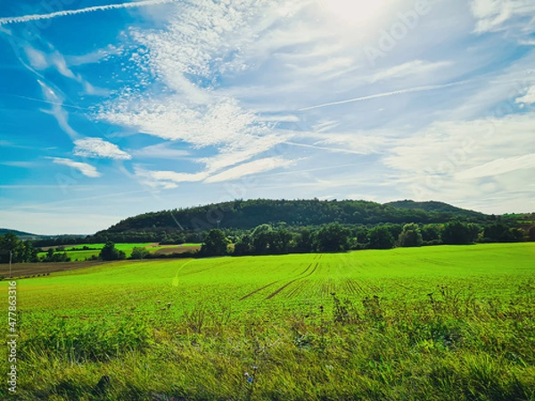 Obraz field and blue sky