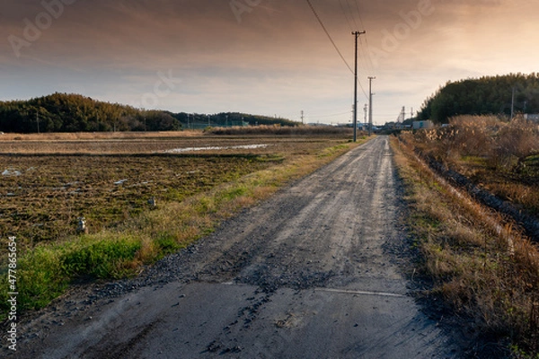Obraz sunset on the road