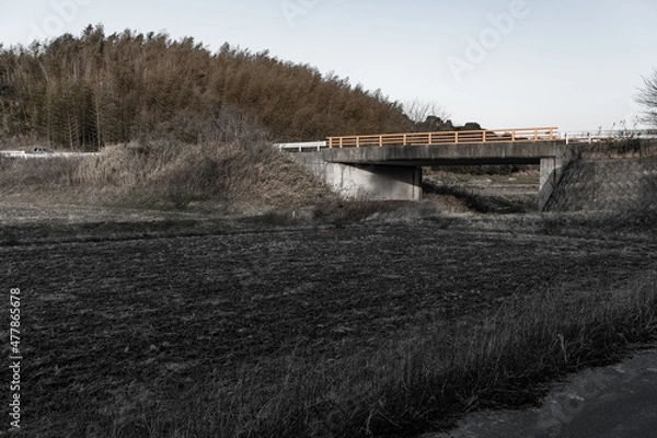 Obraz bridge in winter