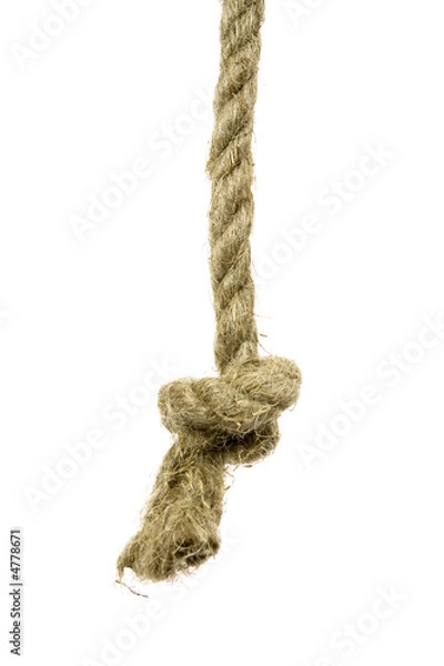 Obraz Variants of the rope with node