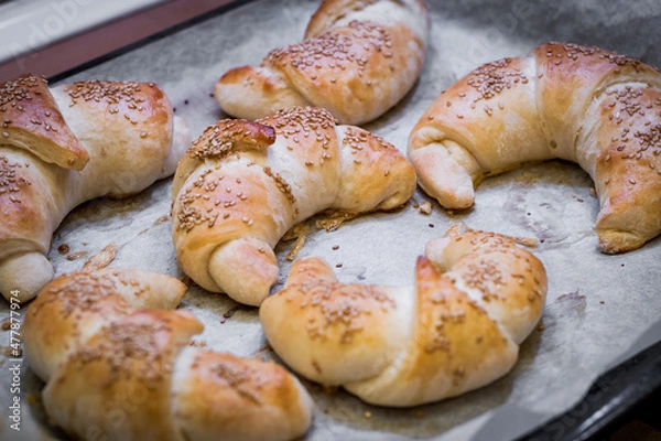 Fototapeta rogaliki domowe