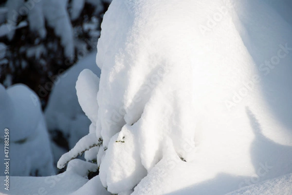 Obraz Schnee Textur, winterzeit