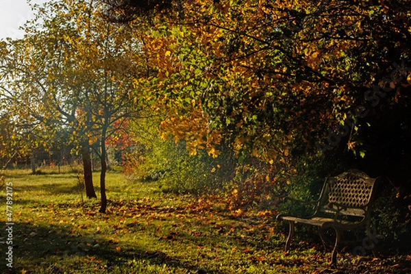 Obraz Sitzbank im Herbst