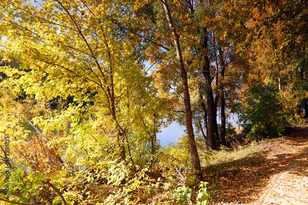 Obraz beautiful autumn landscape