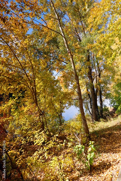 Fototapeta beautiful autumn landscape