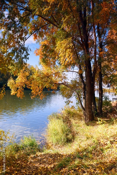 Fototapeta beautiful autumn landscape
