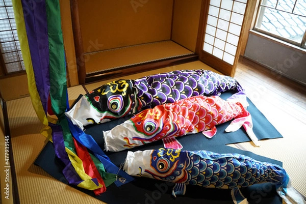 Obraz 鯉のぼりの準備