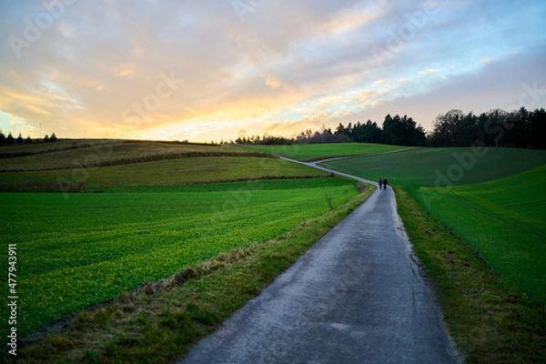 Fototapeta Road between fields in a rural area. With a yellow and blue sunset. High-Danamic-Range (HDR)