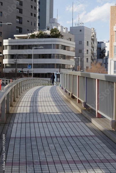 Fototapeta なぎさ通りの渚橋の上をモノレールが交差していく　港区、海岸・芝浦地区の風景