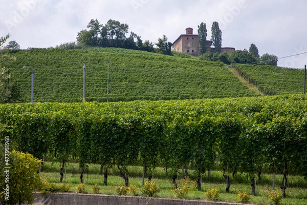 Obraz Langhe - Piemonte