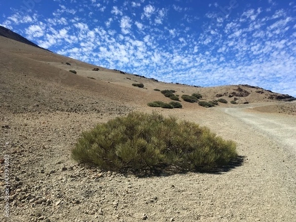 Obraz Vulkanlandschaft