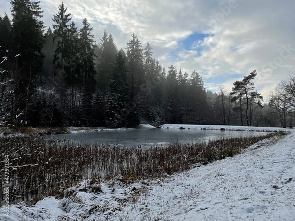 Obraz Dammbachsgrund Eis 2