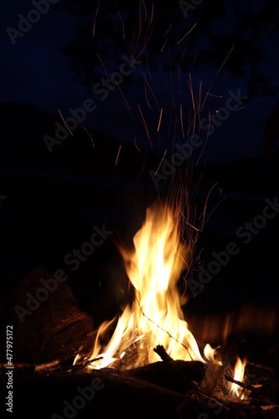 Obraz Fire In The Night