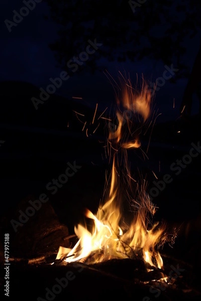 Obraz Fire In The Night