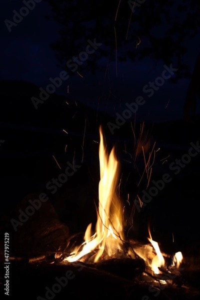 Obraz Fire In The Night