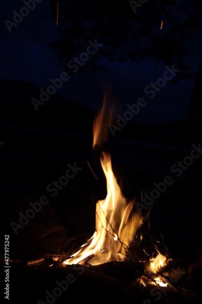 Obraz Fire In The Night