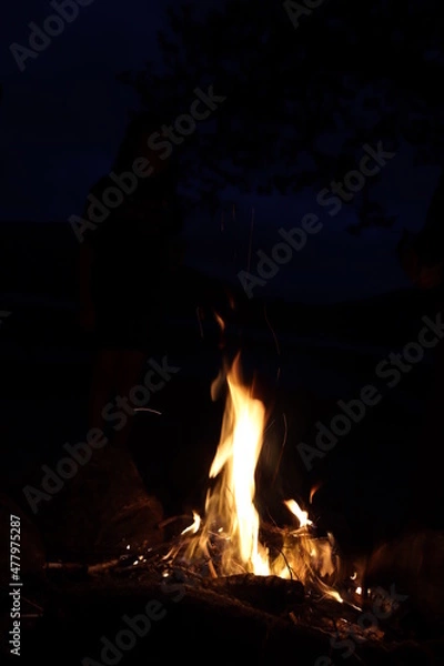 Obraz Fire In The Night