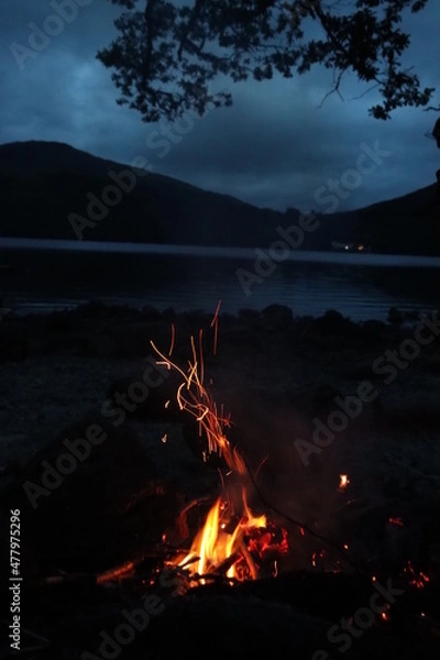 Obraz Fire In The Night