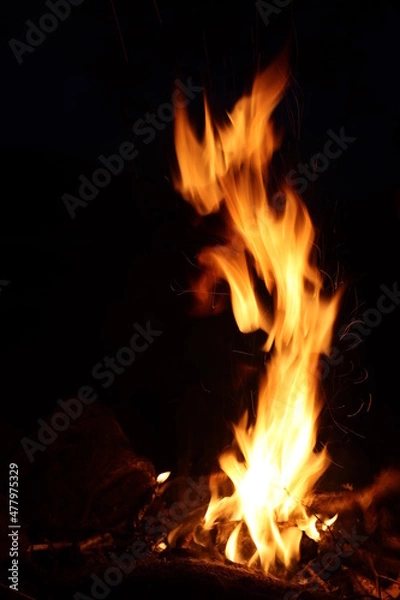 Obraz Fire In The Night