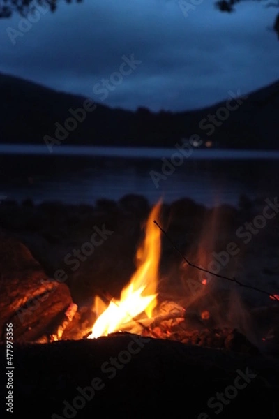 Obraz Fire In The Night