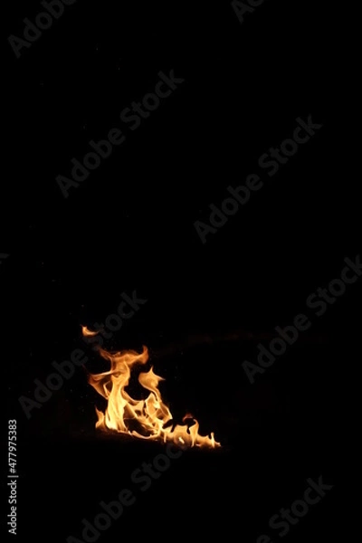 Obraz Fire In The Night