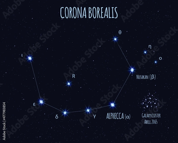 Obraz Corona Borealis (Northern Crown) constellation, vector illustration with the names of basic stars against the starry sky