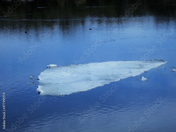Obraz ice on the water in spring