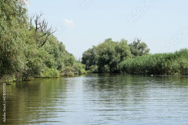 Fototapeta Landscape on a navigable canal surrounded by vegetation in the Danube Delta during a beautiful sunny day with blue sky. Cruising on its channels