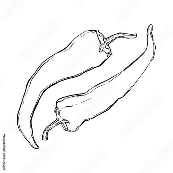 Obraz hand drawing sketch