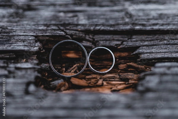 Obraz Wedding rings