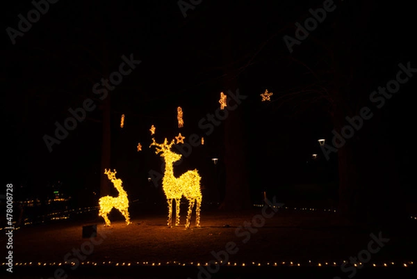 Obraz reindeer christmas lights