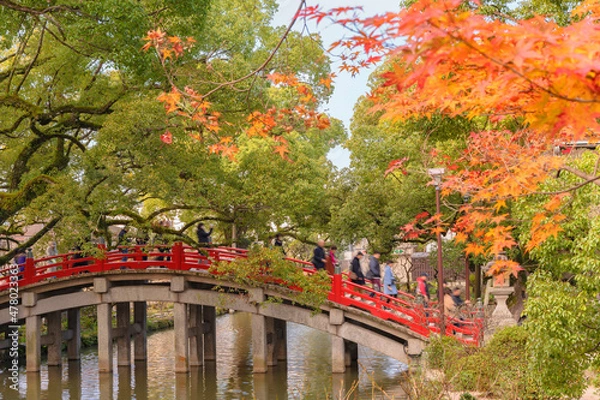 Fototapeta tokyo, japan - december 07 2019: Japanese momiji autumn leaves in front of the red Taiko Bashi bridge of Dazaifu Shinto Shrine crossed over by a group of tourists above a pond.