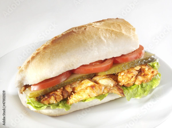 Obraz tavuk döner sandviç