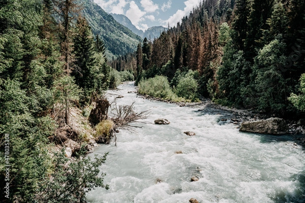 Obraz river in the mountains