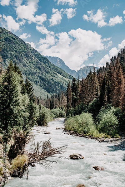 Obraz river in the mountains