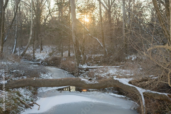 Obraz Across the river