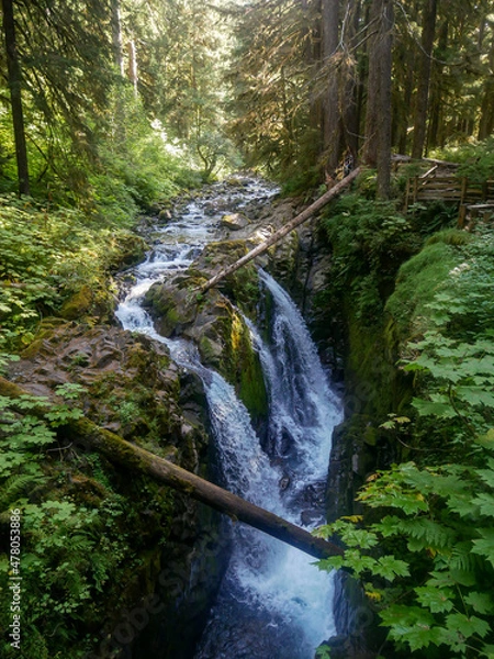 Obraz Waterfall in Rainforest 