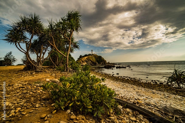 Obraz beach with palm trees