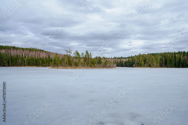 Obraz Spring ice on the lake. Landscape. 