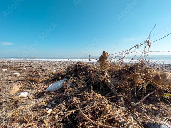 Fototapeta Spilled garbage on the beach of the big city. Empty used dirty plastic bottles. Dirty sea sandy shore. Environmental pollution. Ecological problem.